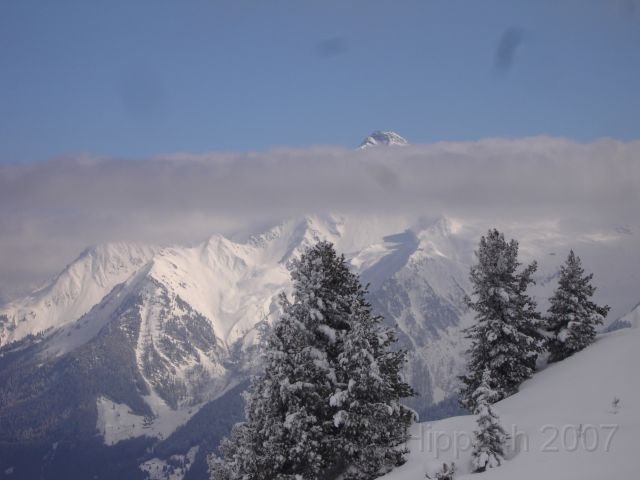 20070309 Hippach 039.jpg